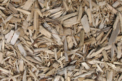 biomass boilers Braichyfedw